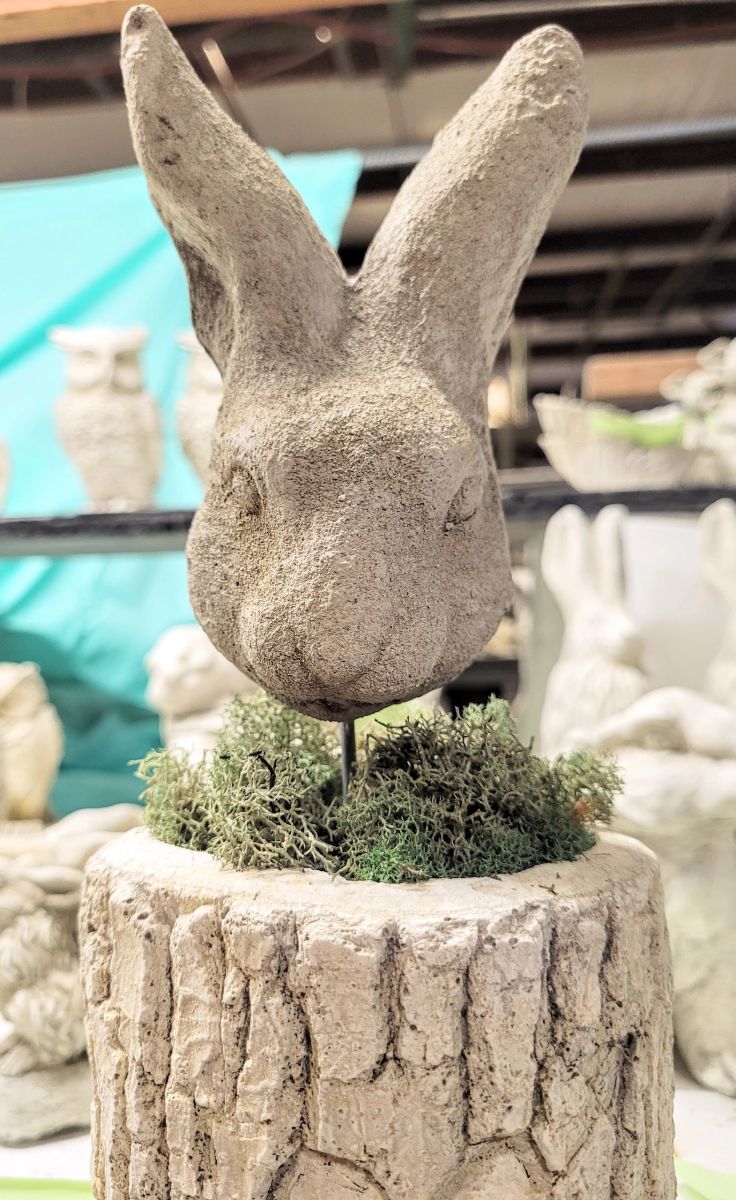 Step Face Double Rabbit Staked Face of Rabbit