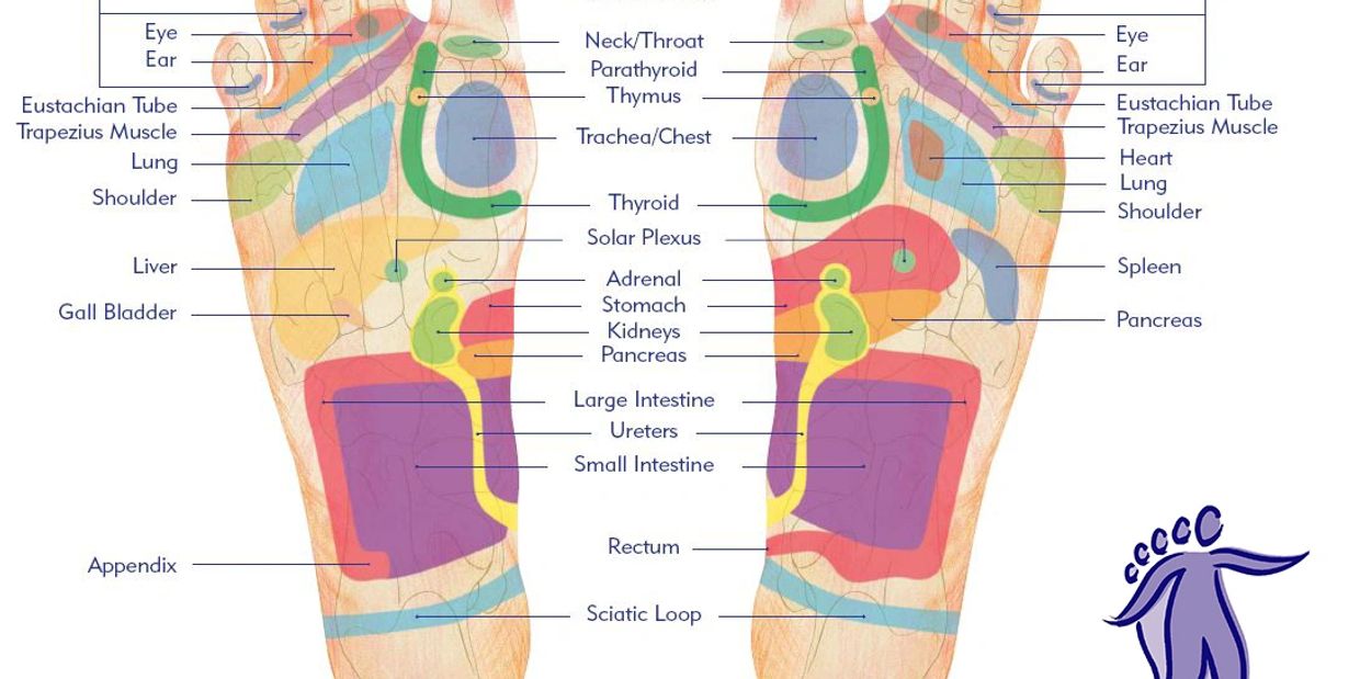 Reflexology
