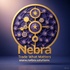 Nebra.solutions