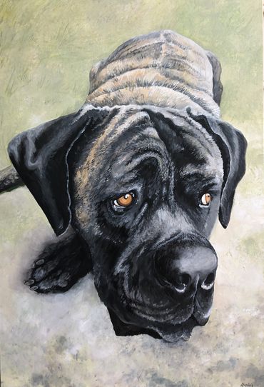 Luther, the Italian Mastiff, acrylics on 24"x36" canvas