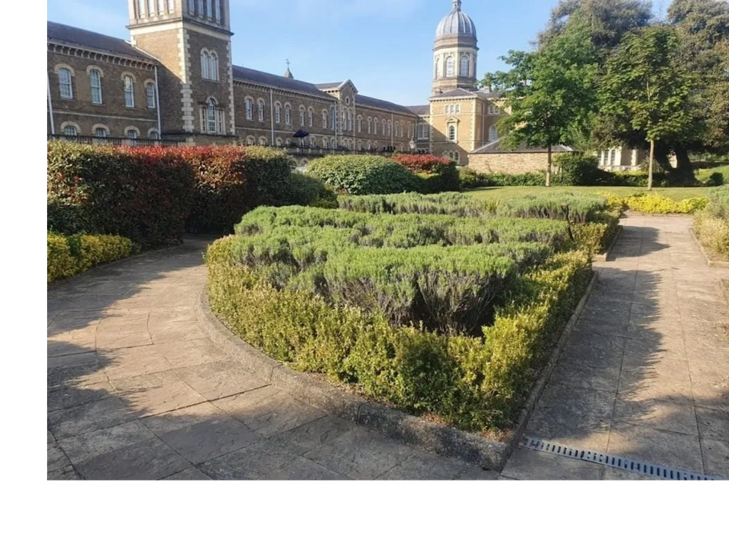 Before Photograph of Planting Project