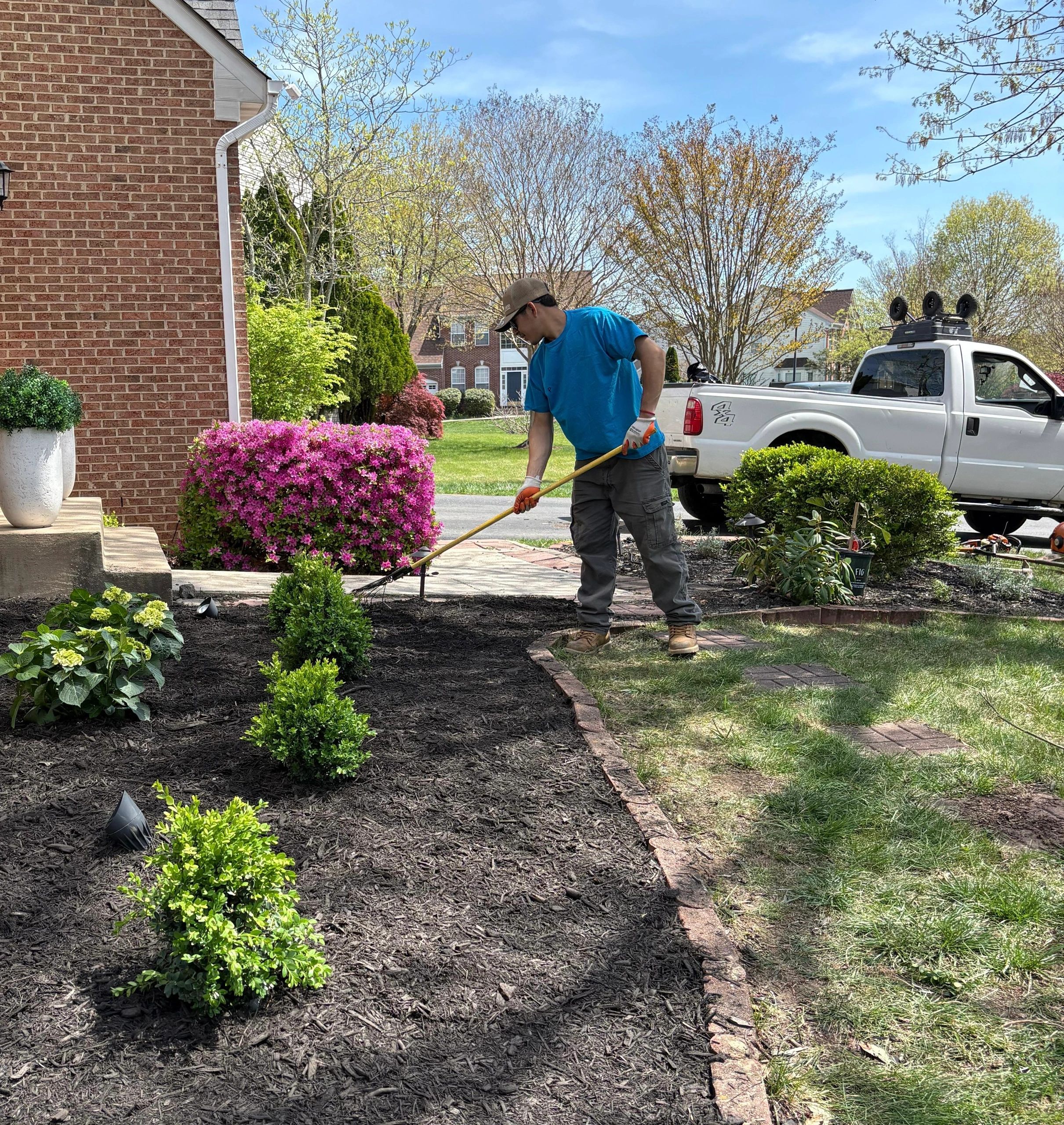 Expert Landscaping Services in Virginia
