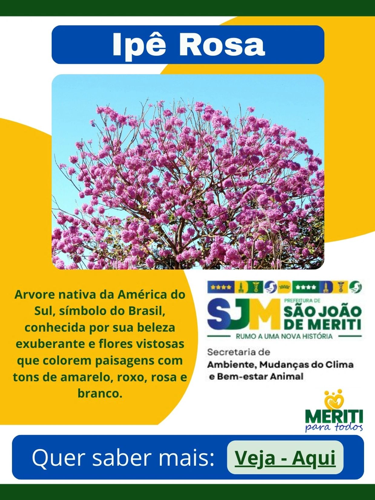 Ipê Rosa, árvore símbolo do Brasil com flores vistosas.