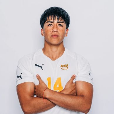 UPLAY AGENCY BECAS USA 