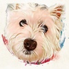Westend Westies