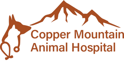 Copper Mountain Animal Hospital