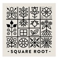 SQUARE ROOT