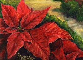 red poinsettias, Christmas flowers, holiday decorations, greenhouse plants