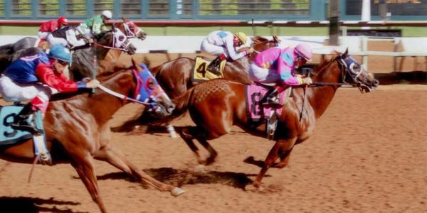 Fast Prize Leesa
Broodmare
Racehorse