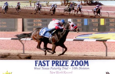 World Record Holder
Fast Prize Zoom