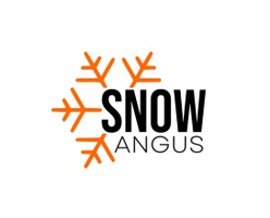 Snow Removal Angus