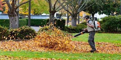 Spring & Fall Cleanup & Sweeping