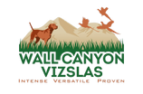 Wall Canyon Vizslas and Dog Training