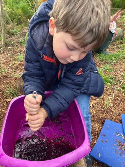 Child mashing blackberries in a bowl to make tie dye