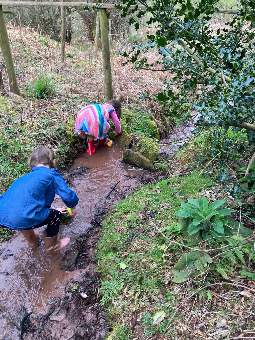 Children splashing in a stream