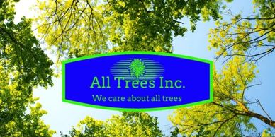 All Trees Inc Logo