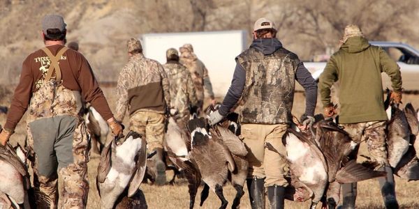 Group of hunters carrying geese in an outdoor setting.