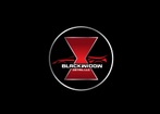 Black Widow Detail, LLC
