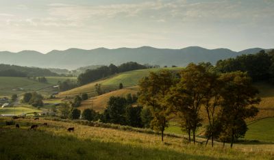 A peaceful countryside with rolling hills and cows.