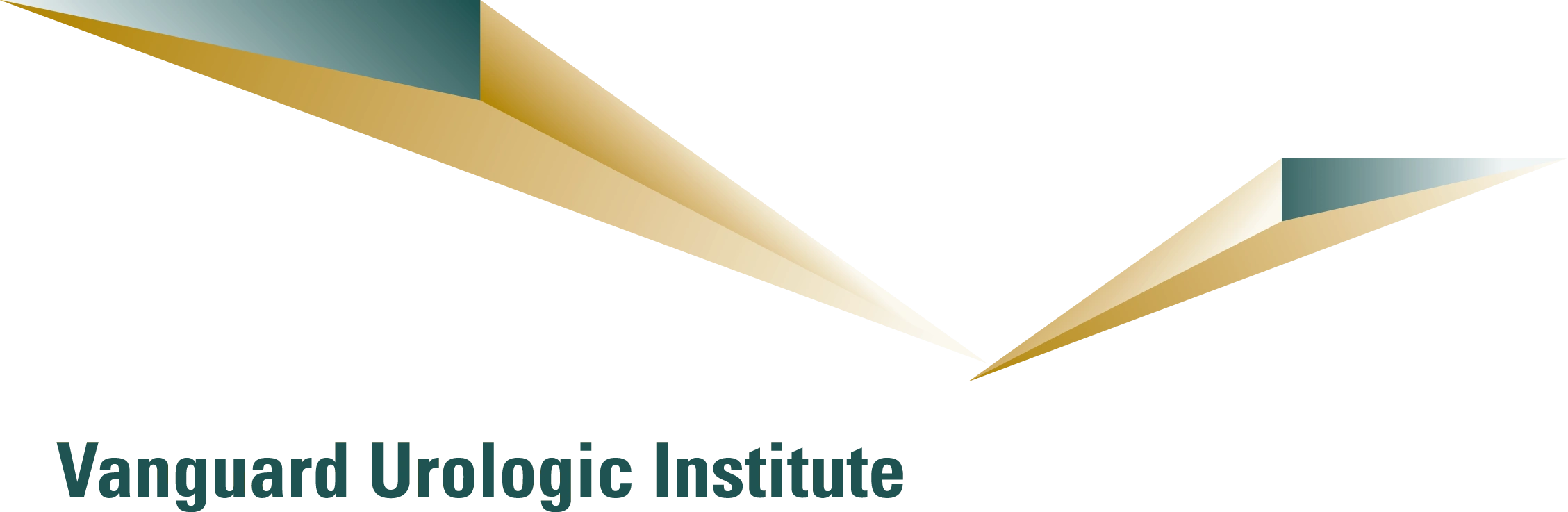 Vanguard Urologic Institute