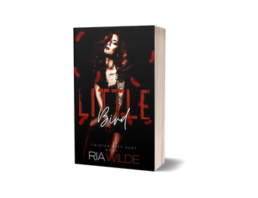 Little Bird book by Ria Wilde, Dark romance book first book in twisted city duet 