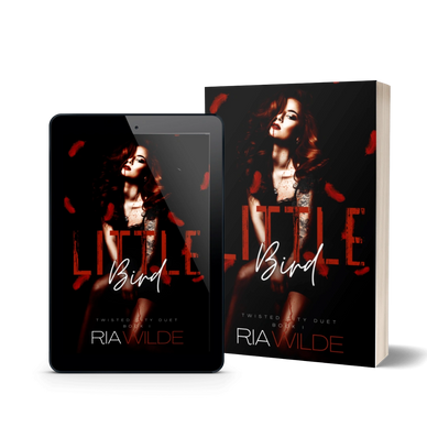 Little Bird kindle and book by Ria WIlde, Dark romance, Twisted city duet book one