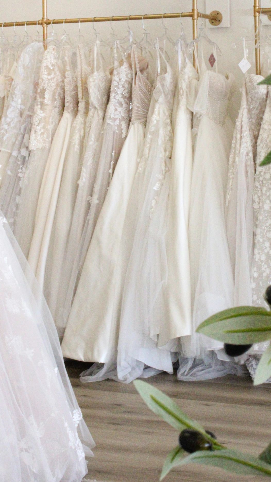 princess polly baby blue dress Plus-Size Wedding Dresses in Arizona main image 0