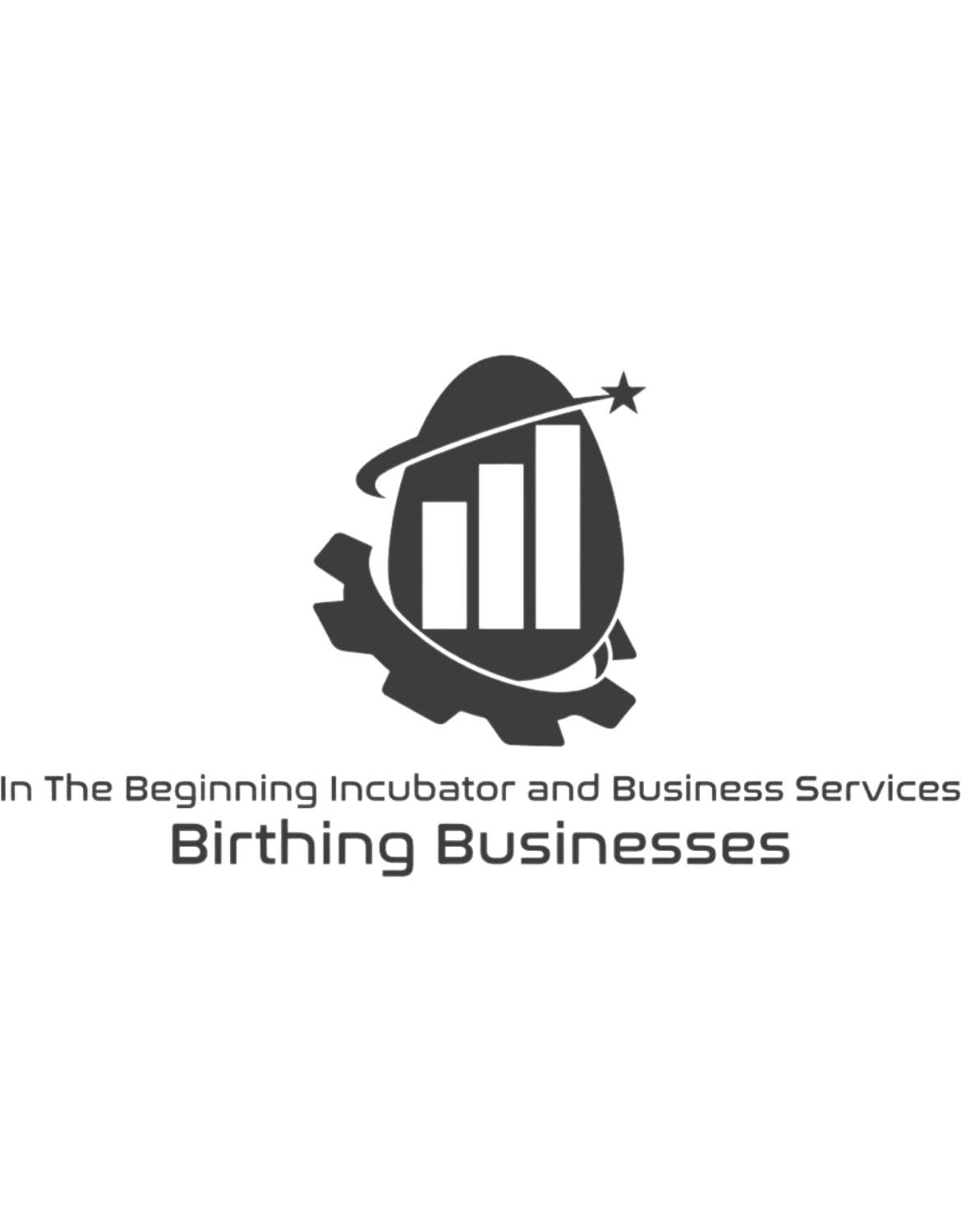 In The Beginning Virtual Incubator Startup Business Startup in-the-beginning-virtual-incubator-startup-business-startup