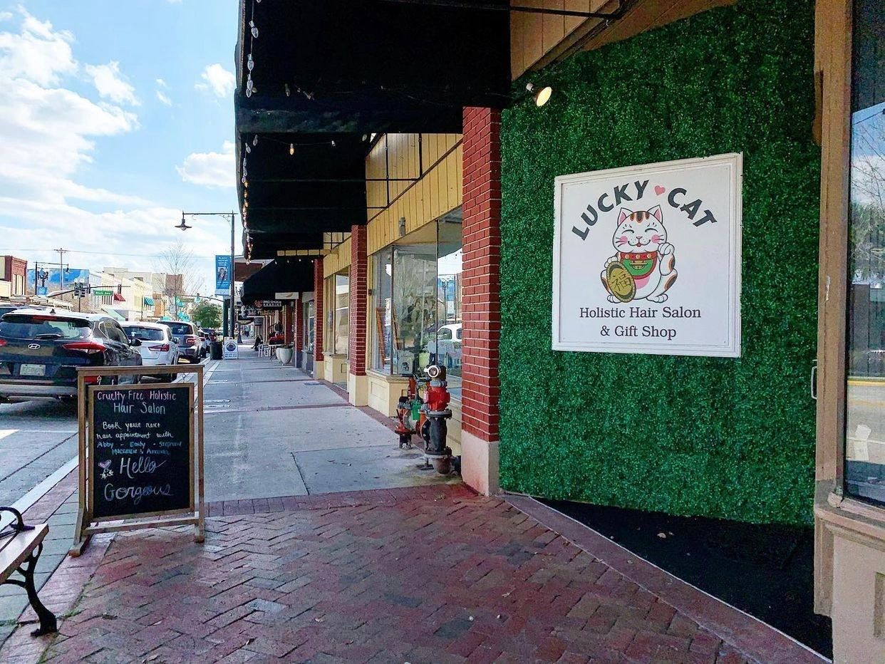 Lucky Cat Salon