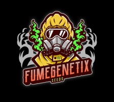 Fumegenetixseeds