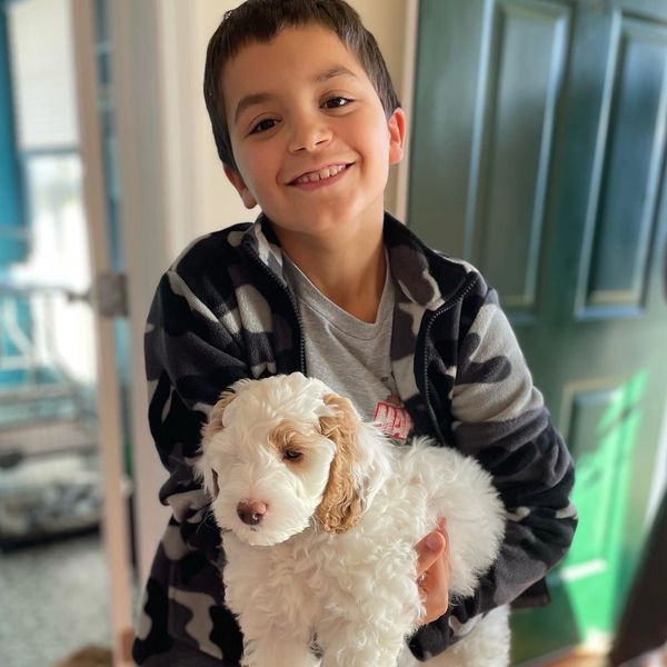 A happy boy holding a fluffy white puppy.