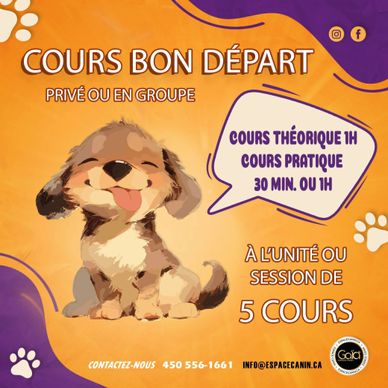 Adorable puppy training course offered privately or in groups.