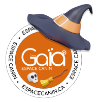 Chez Gaïa Espace Cani