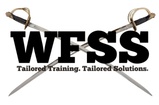 WFSS INC
