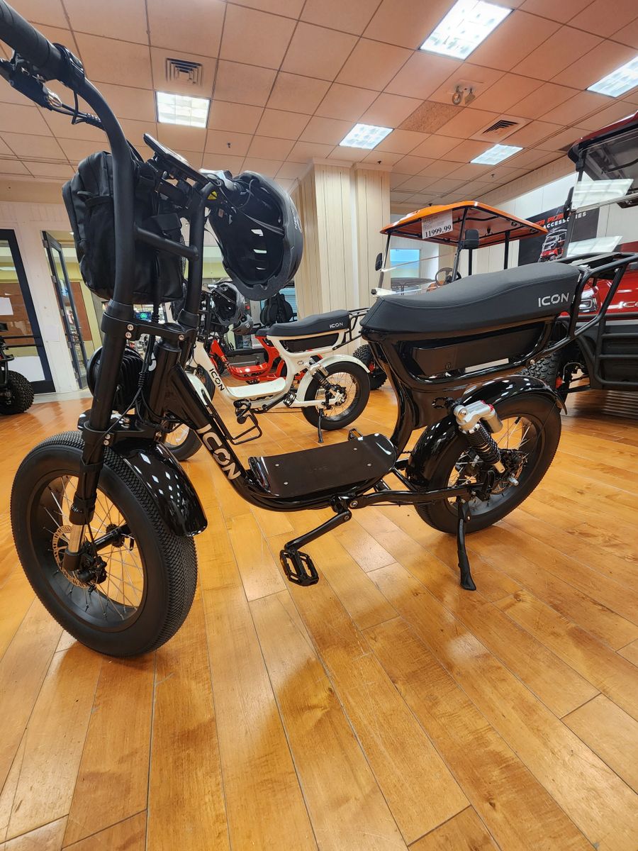 Icon Electric Bike - black