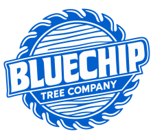 Bluechip Tree  Company

651-459-5007