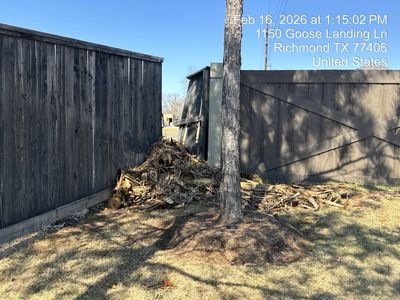 Piles of yard debris and branches stacked between two wooden fences under a clear sky.