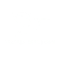Peace Anger Love