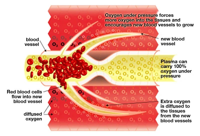 stem cell treatment for near drowning