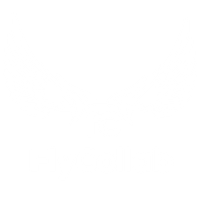 Fly Collab