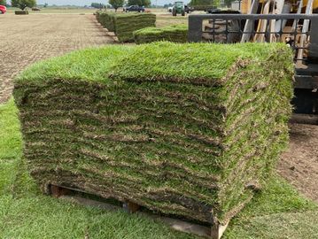 Stacked sod rolls ready for landscaping on a pallet.