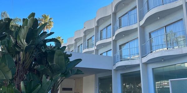 A white building with palm trees.