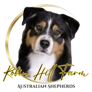 Robin Hill Farm Australian Shepherds