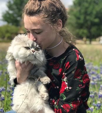 Beautiful Silver Persian Cat in bluebonnets 
This is Cloud, a spectacular Silver Persian from Persia