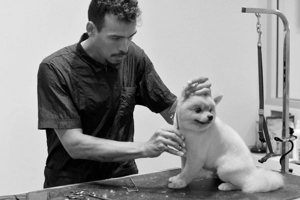 Meet Greg Garth. Our newest Top Tier stylist.