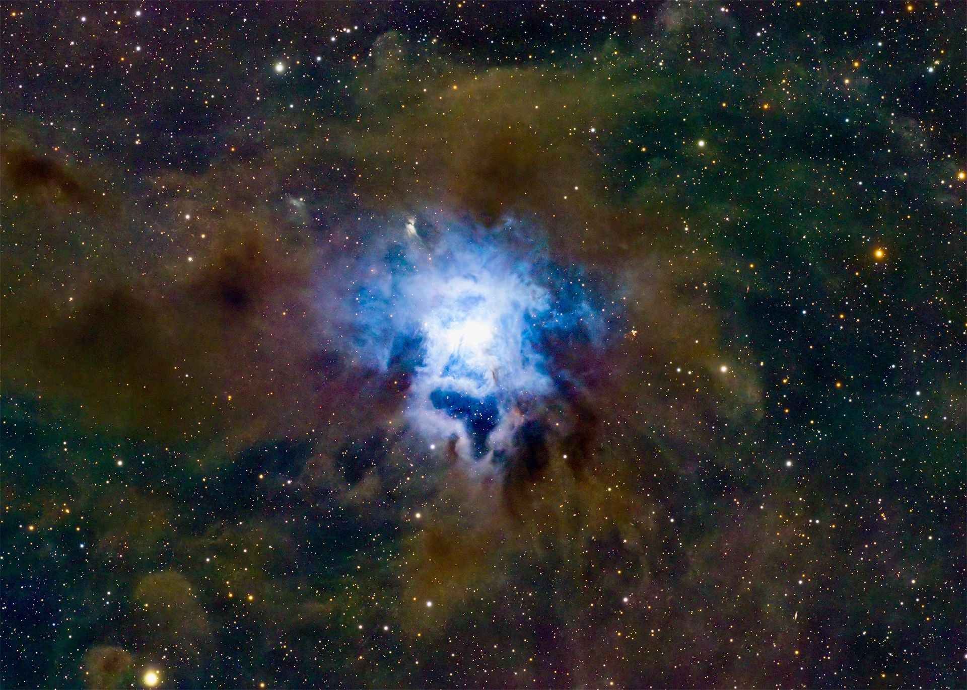 This is a photo of the Iris Nebula, A bright reflection nebula in the constellation Cepheus. NGC7023