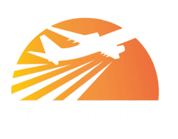 Visa Genius