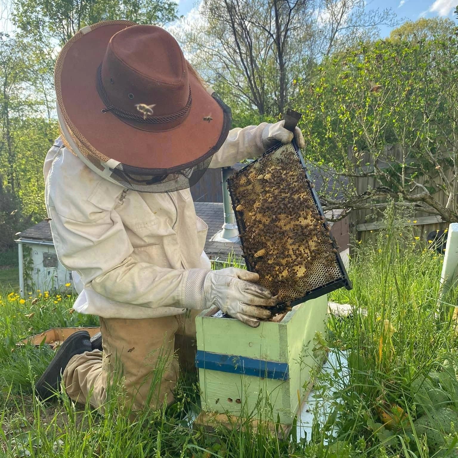 Explore Apiculture: Your Guide to Beekeeping Success