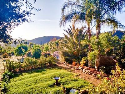 Garden venue with exotic palms, flowers and orchard