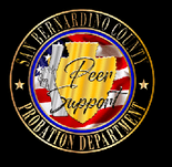 SBC Probation Peer Support Program 